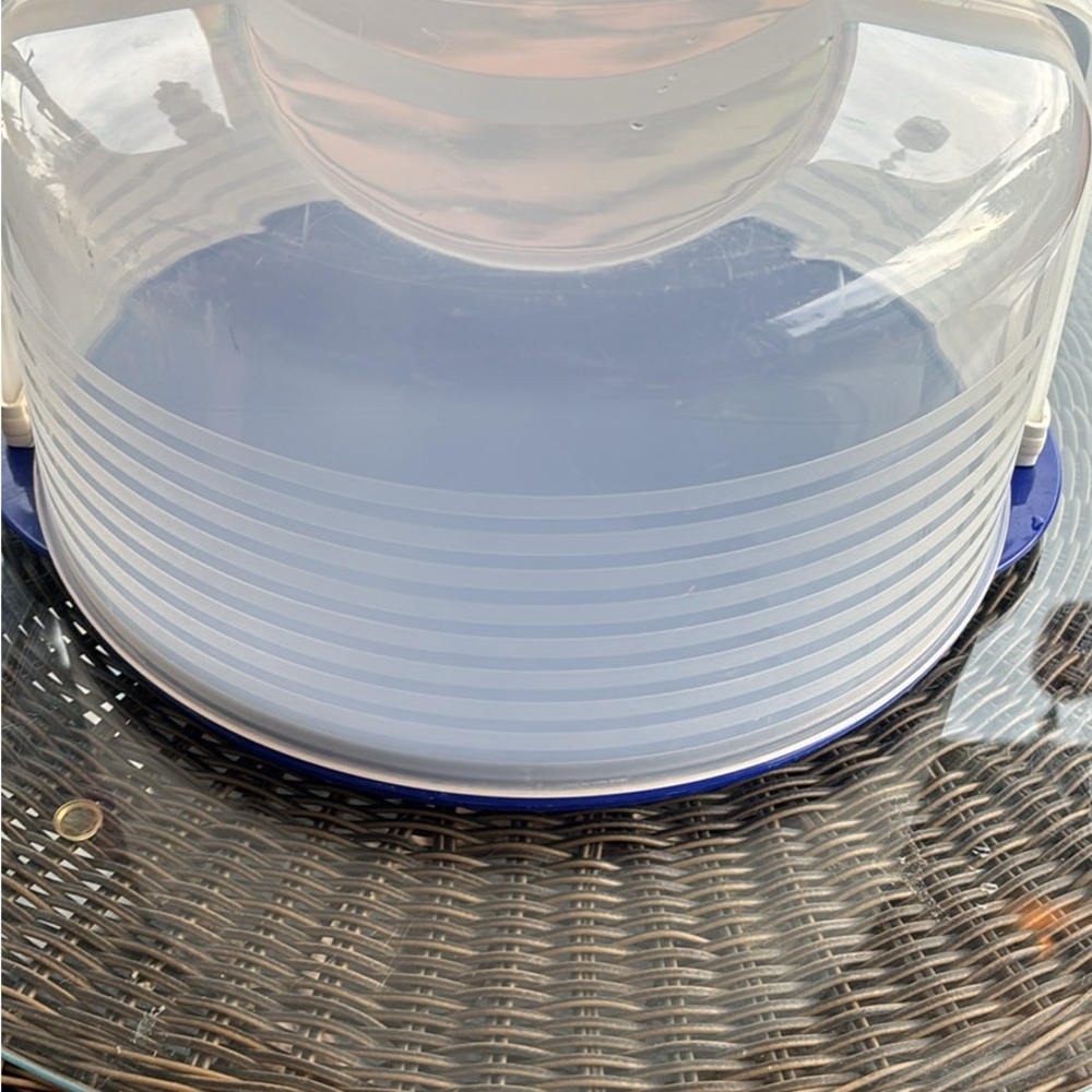 Transparent Cake Carrier with Blue Base